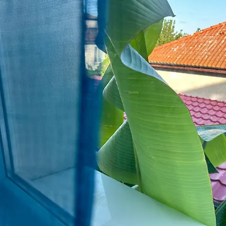 Gasthuis оазис сарай -