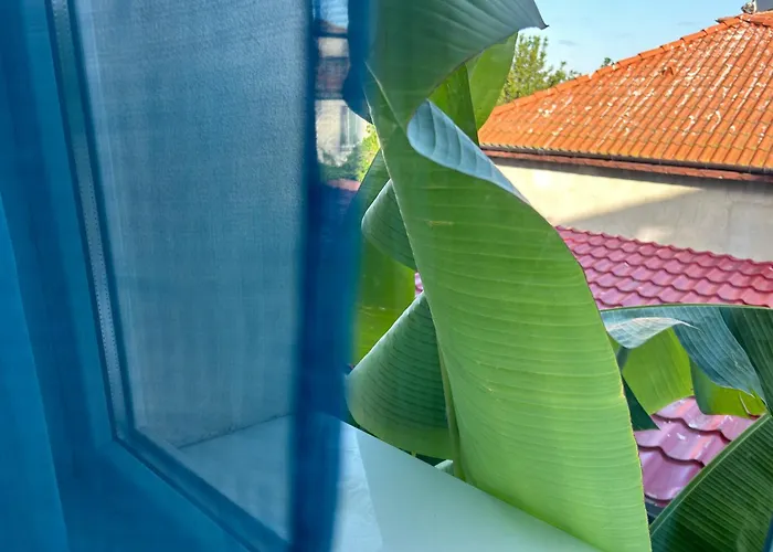 Къща за гости оазис сарай -